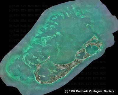 Mapping Bermuda's Coral Reefs