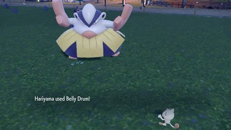 How To Get Belly Drum In Pokemon Scarlet And Violet