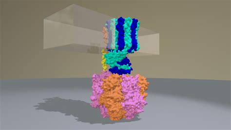 ATP SYNTHASE ROTATION - 3D model by Interactive 3D Data (@proteinsimulation) [f9ad55a] - Sketchfab