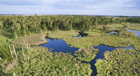 エバーグレーズ国立公園（Everglades National Park） | Visit The USA