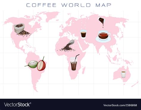 World map with coffee production and consumption Vector Image