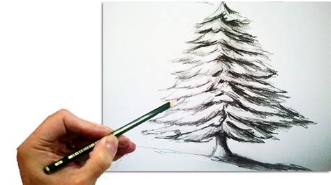 Realistic Christmas Tree Sketch - img-loaf