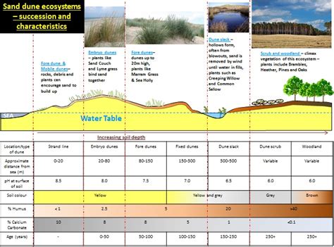 LANDFORMS AND PROCESSES - COASTAL ENVIRONMENTS