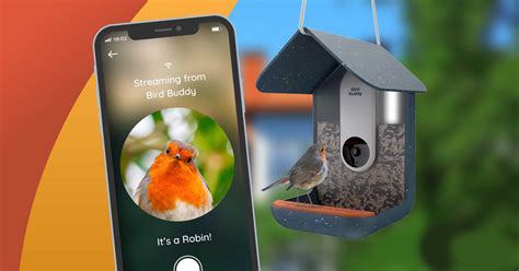 Bird Buddy - Bird Feeder Camera - Tech I Want