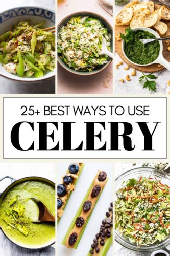 25+ BEST Celery Recipes (How to Use Celery)