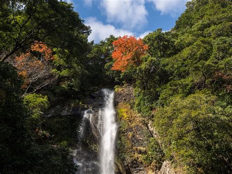 HD wallpaper: japan, kumamoto, waterfall, autumnal leaves, tree, plant, beauty in nature ...