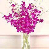 Purple Dendrobium Orchids | flowersnhoney | fresh flowers and the best ...