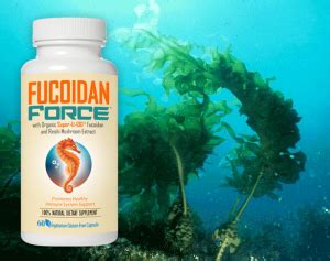 Fucoidan Facts - Find Out What A Fucoidan Supplement Can Do For You!