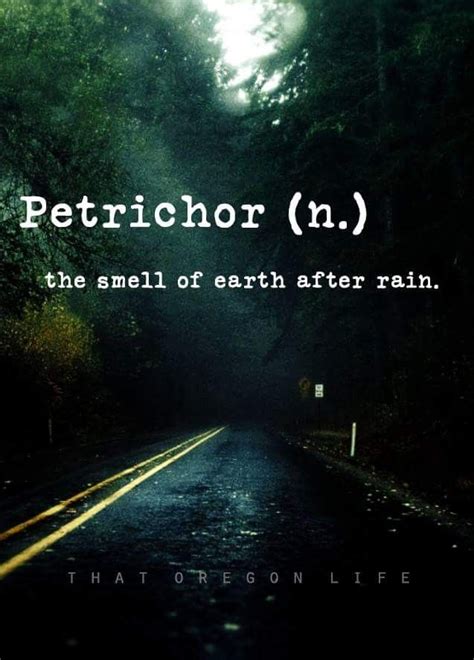 Pin by Amber🌻 on Words | Unusual words, Weird words, Nature words