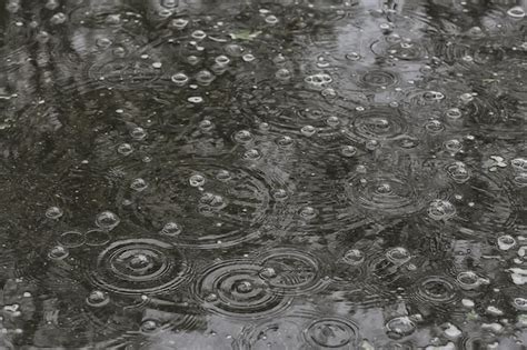 Premium Photo | Background puddle rain / circles and drops in a puddle, texture with bubbles in ...