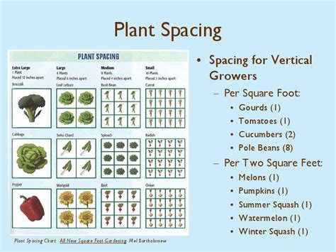 Quickie Chart for Square Foot Plant Spacing