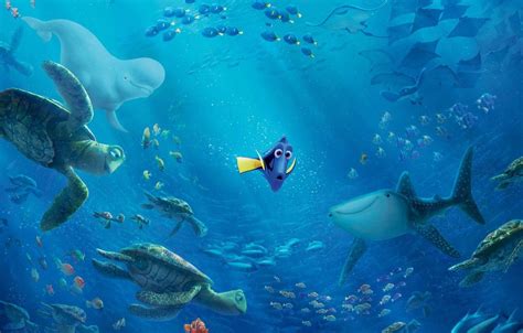 Finding Nemo Shark Wallpapers - Top Free Finding Nemo Shark Backgrounds - WallpaperAccess