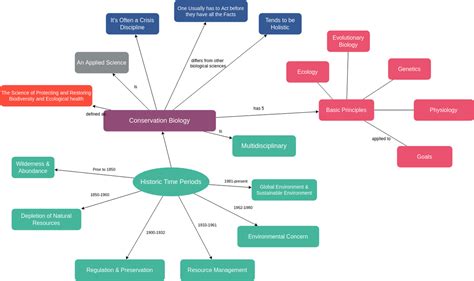 Free Concept Map Diagram Tool: Create Concept Maps Online