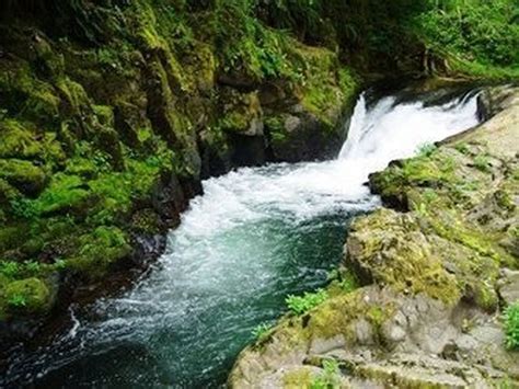 We Keep the Tualatin River Flowing - oregonlive.com