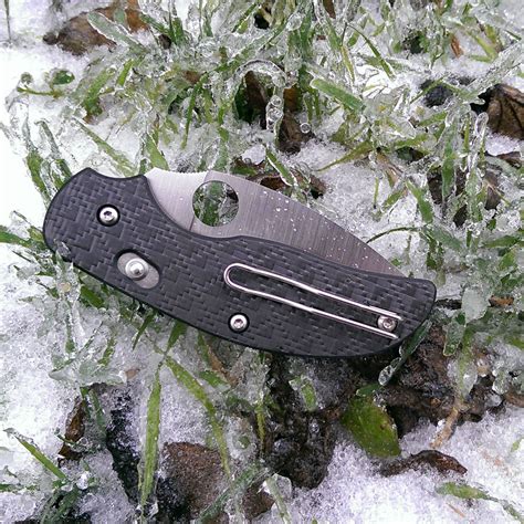 StayAliveShop.com Spyderco Sage 3 Bolt Action Carbon Fiber