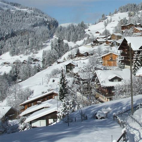 Skiing Wengen, Switzerland - Resort Guide Review & Information / Ski ...