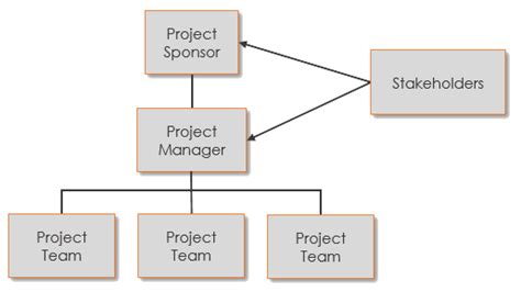 The Project Organization Chart