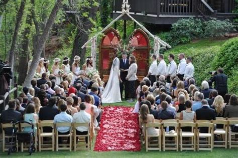 Daniel Bryan and Brie Bella Wedding: Attendees, Photos, Details for WWE ...