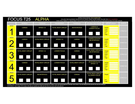 t25 alpha cardio > OFF-69%