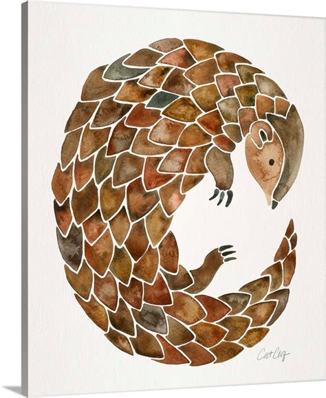 Pangolin | Great Big Canvas