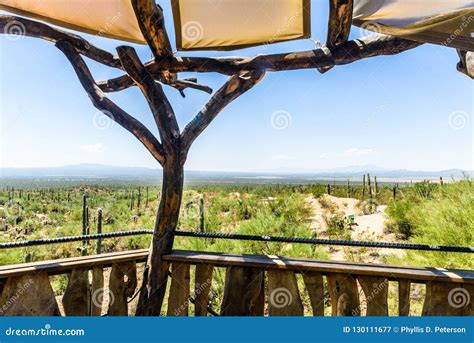 Desert View from Tucson Desert Museum Stock Image - Image of tucson, vacation: 130111677