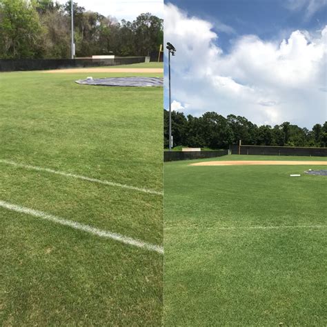 Baseball Field before and after 1 fertilization | The Masters Lawn Care