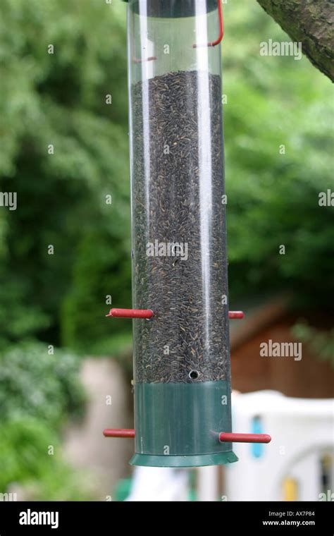 Small aperture thistle seed feeder Niger seed has ahigh energy value ...