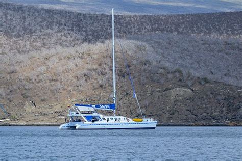 Cruises to Galapagos Islands for next week - GalapagosInformation.com Blog