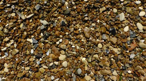 Beach Pebbles Free Stock Photo - Public Domain Pictures