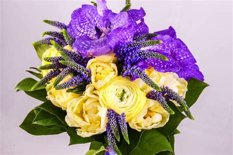 Bouquet of flowers iris stock photo. Image of contrast - 23257706