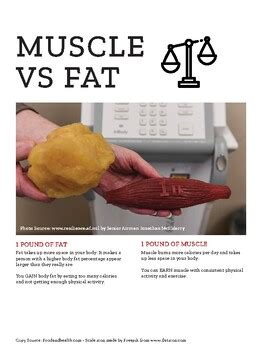 Muscle VS. Fat by Fitucate | TPT