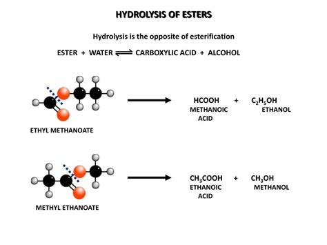 PPT - Hydrolysis of an ester PowerPoint Presentation, free download - ID:1926513