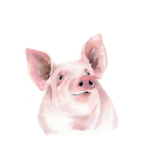 The best free Pig watercolor images. Download from 87 free watercolors of Pig at GetDrawings