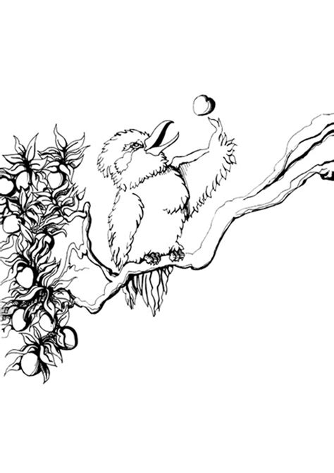 Kookaburra Outline - ClipArt Best