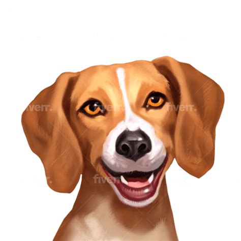 Cartoonize your dog pet cartoon caricatures cartoon caricatures by Grafikartist | Fiverr