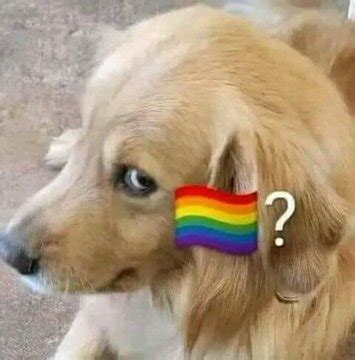 homophobic dog 🏳️‍🌈? Meme | 🏳️‍🌈? / Pride Flag Question Mark | Know ...