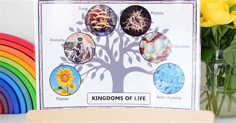 Introducing the 6 Kingdoms of Life | The Pinay Homeschooler