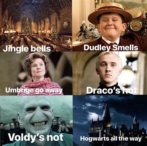 Love thattt #harrypotterfunny | Harry potter puns, Harry potter memes hilarious, Harry potter jokes