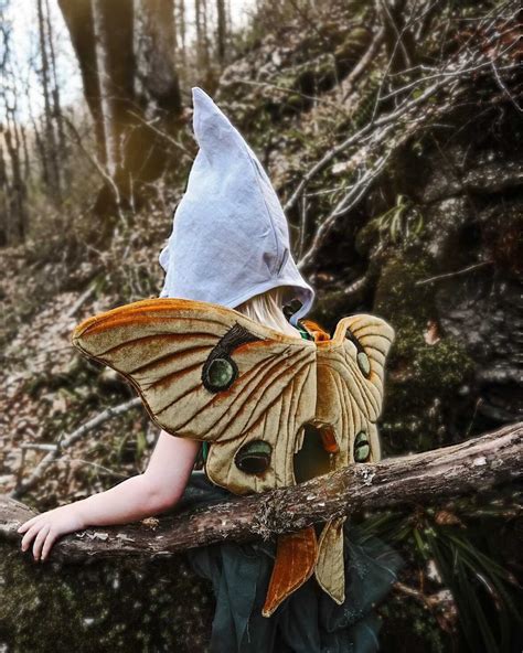 Luna Moth Fairy Wings Gold Velvet, Prentend Play, Kids Fairy Costume, Adult Fairy Wings, Dress ...