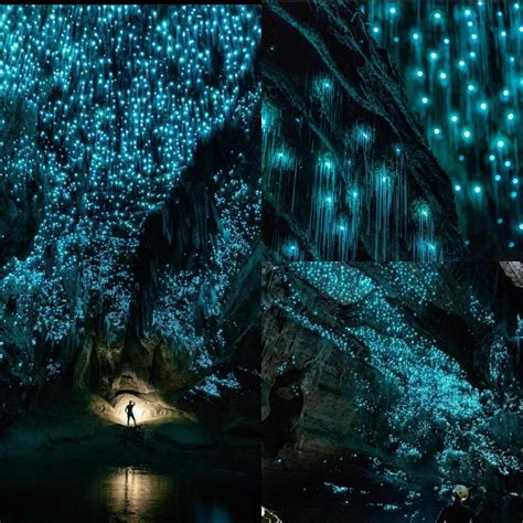 Waitomo Glowworm Caves in New Zealand. Looks like Pandora at night! : r/Pandoraonearth