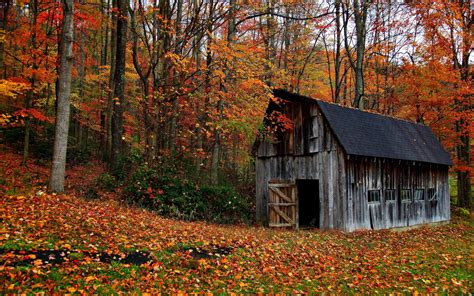 Fall Barn Wallpapers - Top Free Fall Barn Backgrounds - WallpaperAccess