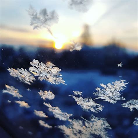 Snowflakes Falling Wallpaper