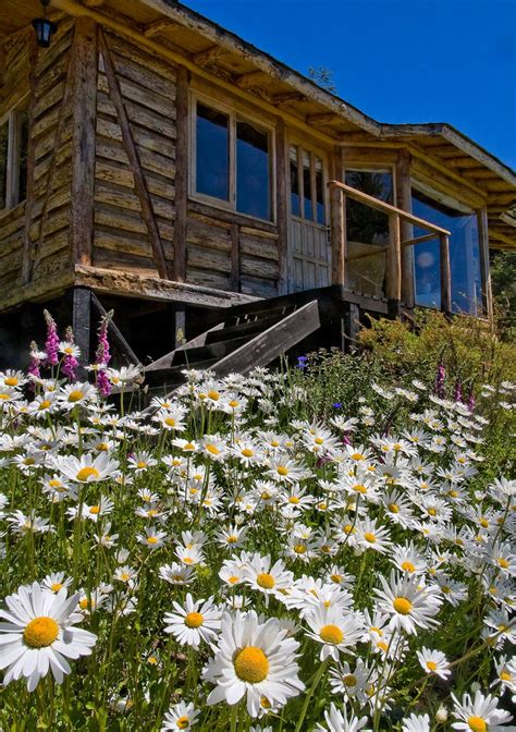 Flower Gardening In Colorado - Beautiful Insanity