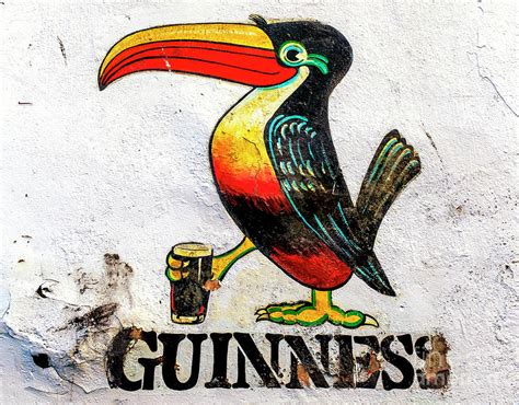 Guinness Toucan in Galway Photograph by John Rizzuto - Fine Art America