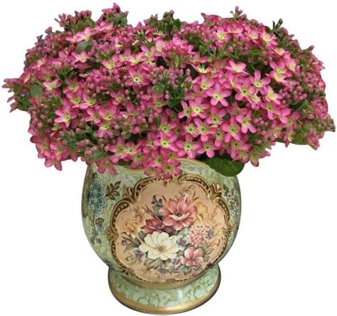 Amazon.com: Gilroy 72 Heads Artificial Silk Myosotis Flower Bouquet for ...