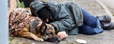 Why are so many veterans homeless? | Carry On