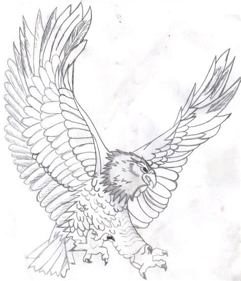 Free Printable Bald Eagle Coloring Pages For Kids