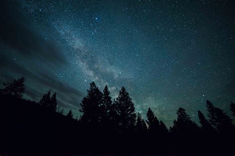 Forest Night Sky Wallpapers - Top Free Forest Night Sky Backgrounds - WallpaperAccess