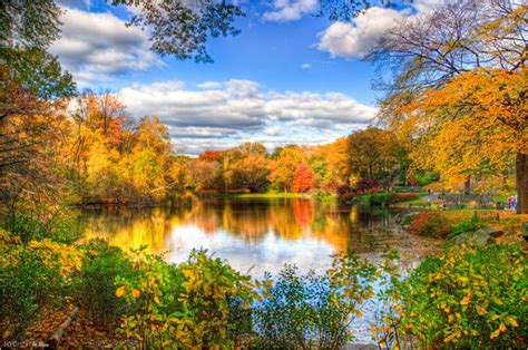 Fall leaves on the lake 2231x1479 | Autumn scenery, Dream vacation spots, Central park