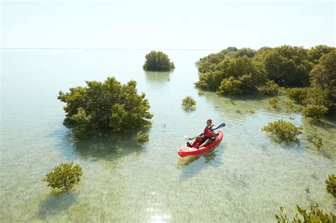 Purple Island | Visit Qatar